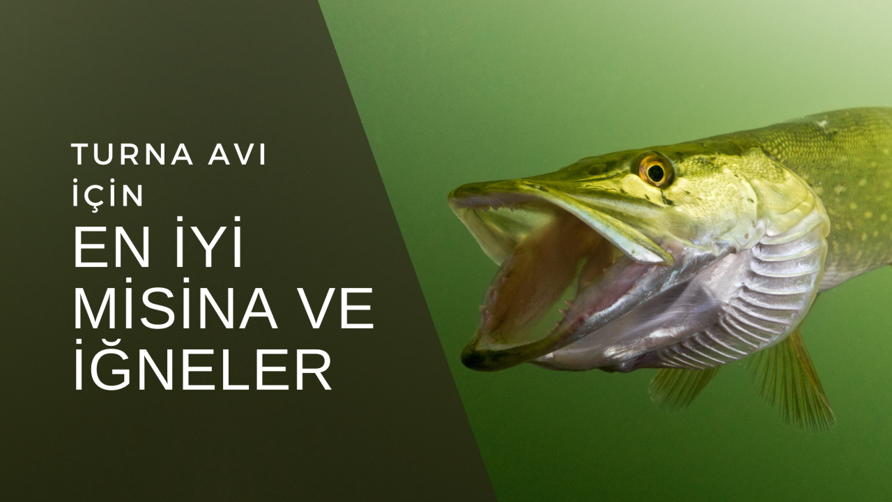 Turna Avı İçin En İyi Misina ve İğne Rehberi