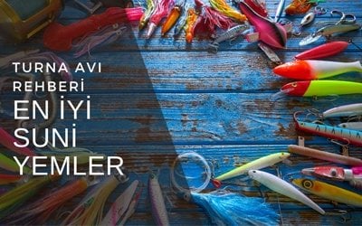 Turna Avı İçin En İyi Suni Yemler Nelerdir?
