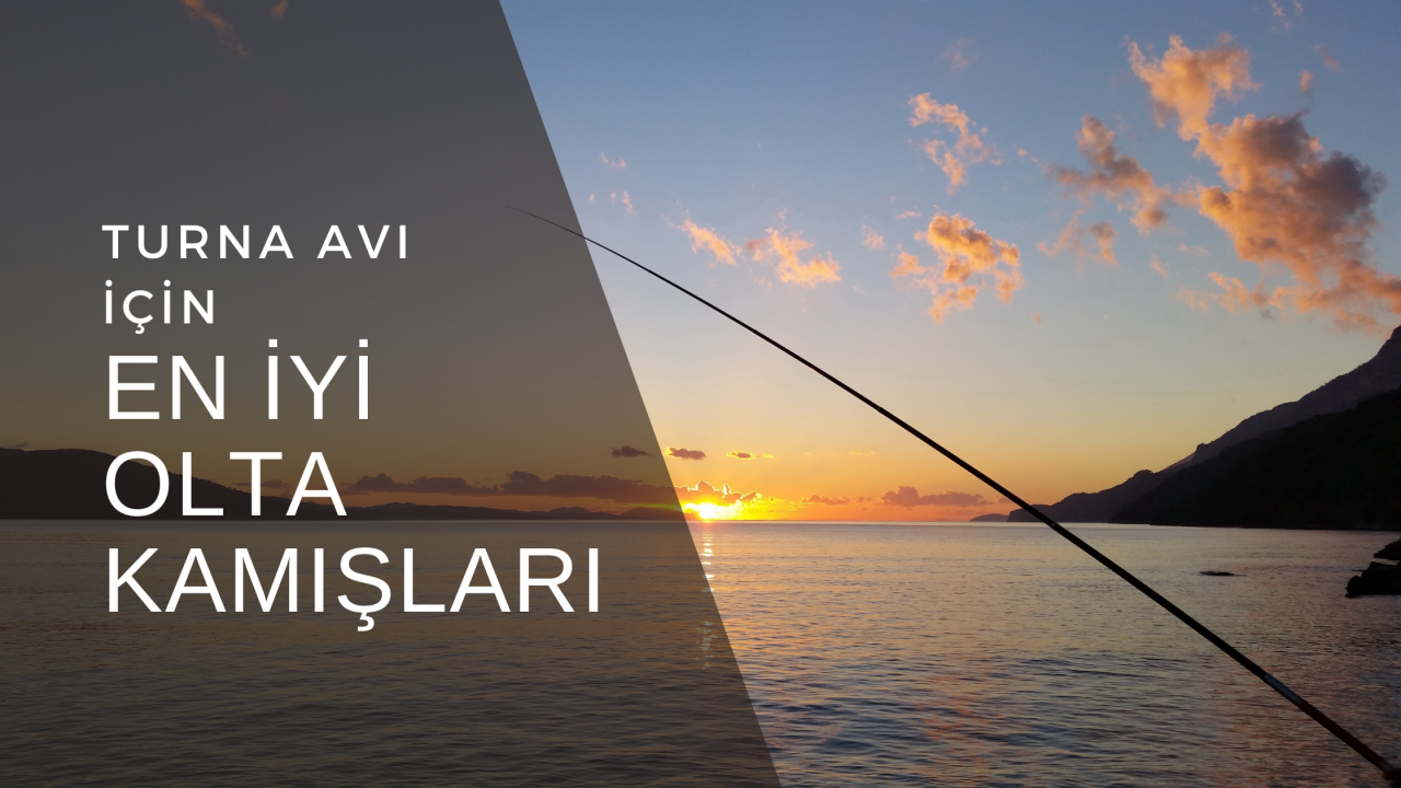 En İyi Turna Kamışı Hangisidir? Turna Avı Rehberi