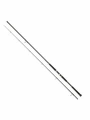 Daiwa New Legalis 2.90m 28-84gr 2P Shore Jig Olta Kamışı